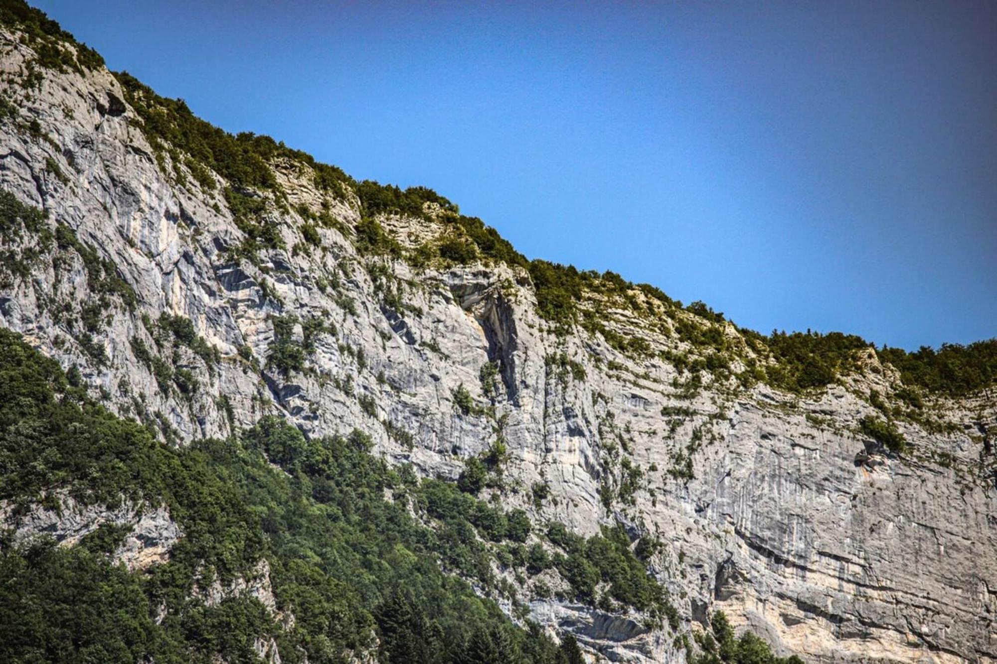 La Bulle Verte T2 Proche Lac Avec Parking - 3 Άννεσι Εξωτερικό φωτογραφία
